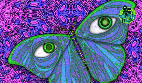 The advantages of Psychedelic Prohibition