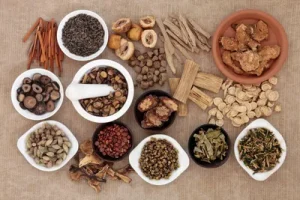 🧠 Building a Daily Focus Routine with Lion’s Mane and Adaptogens